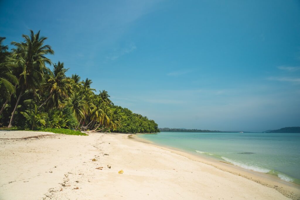 Andaman Travel Guide 2024: Complete Trip Planner for Indians
