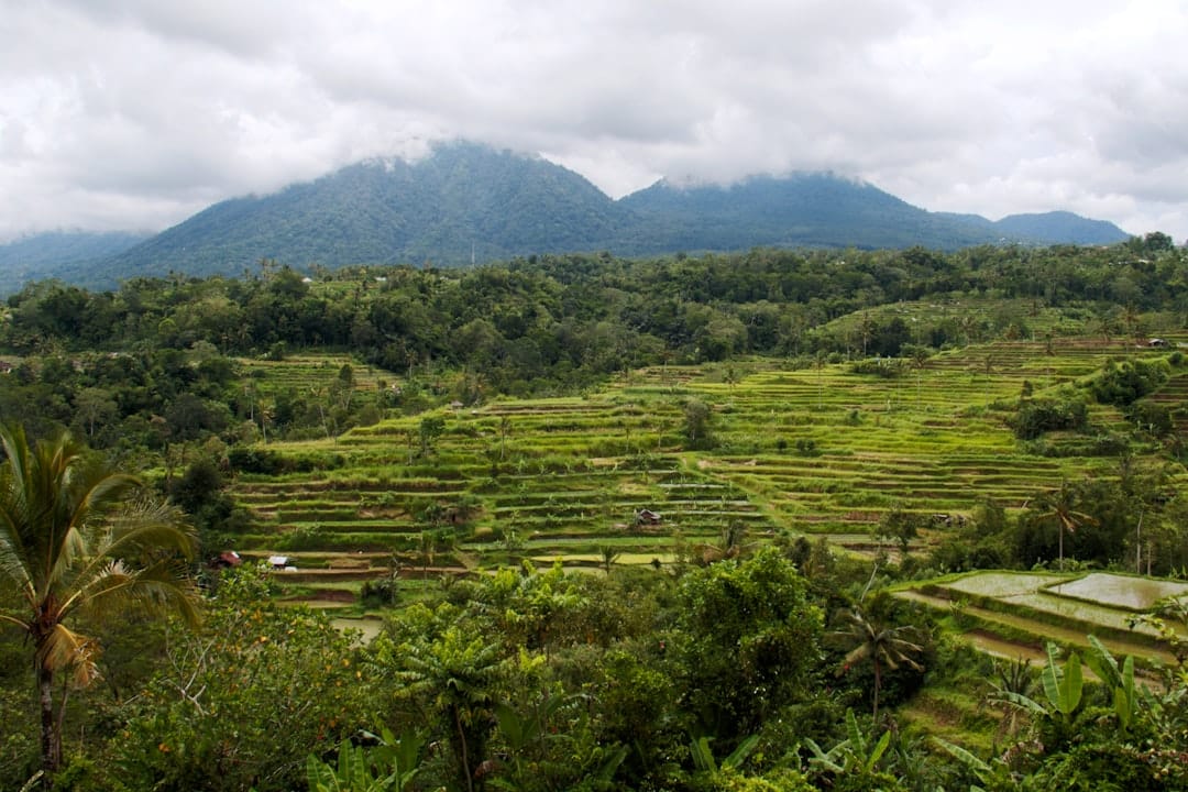 Bali Solo Trip: 5 Days Budget Guide for Indians 2025