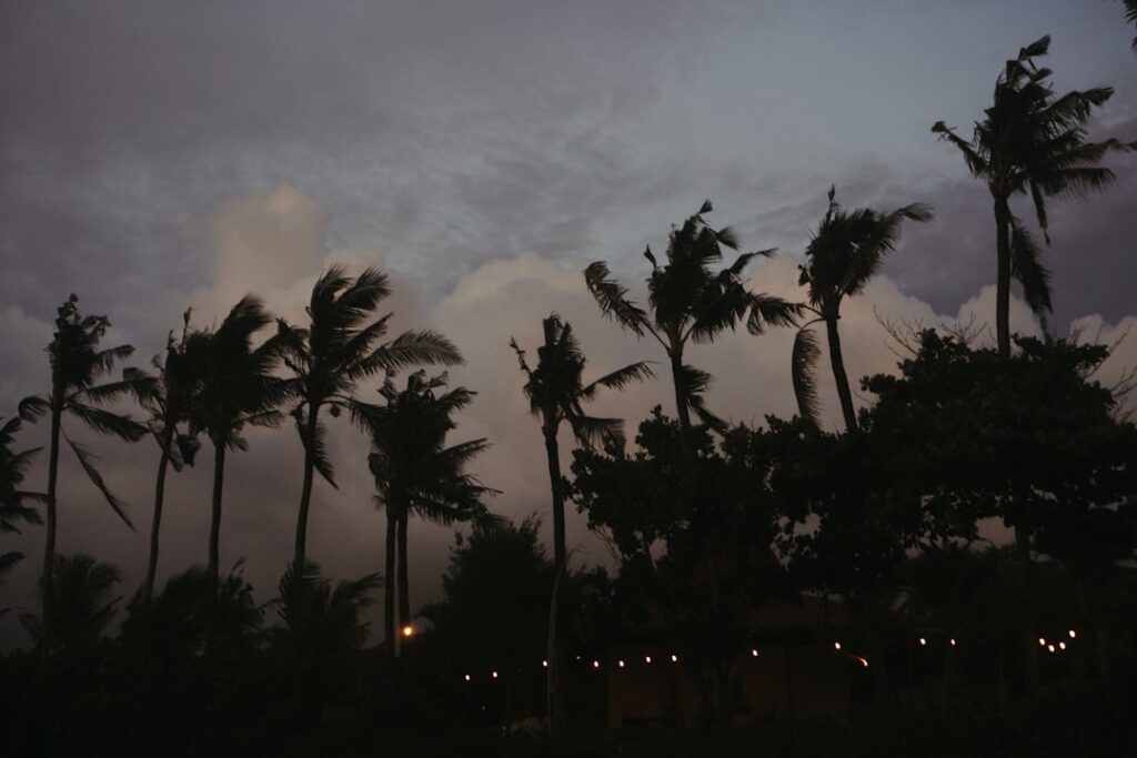 Bali Travel Guide 2024: Complete Trip Planner for Indians