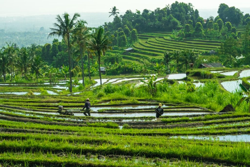 Best Honeymoon Destinations Abroad for Indians 2025: Bali & Gili