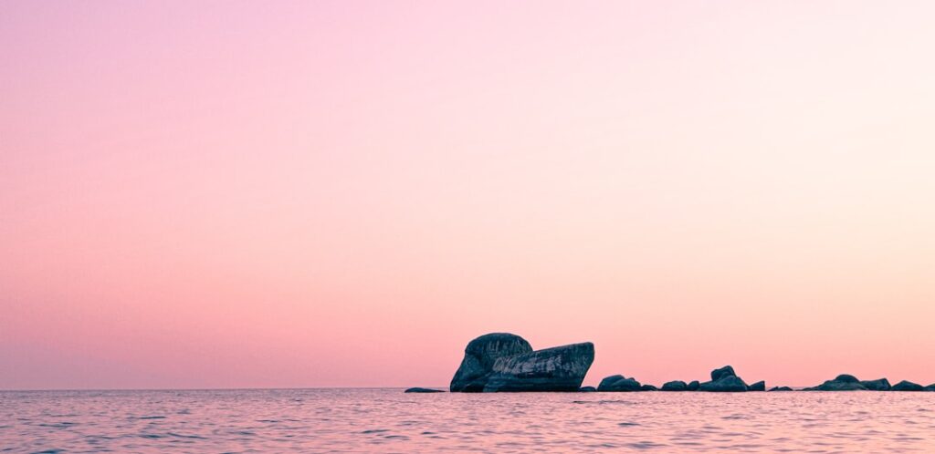 Goa Travel Guide 2024: Best Beaches, Food & Trip Cost