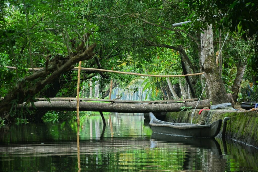 Kerala Travel Guide 2024: Backwaters, Beaches & Costs
