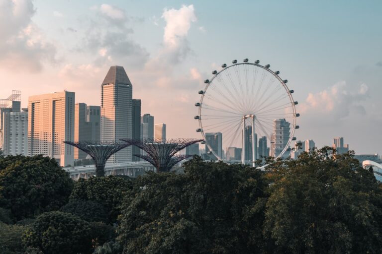 a ferris wheel in front of a city skyline