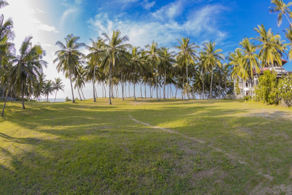Sri Lanka 7 Days Itinerary from India Budget (₹35,000/person)