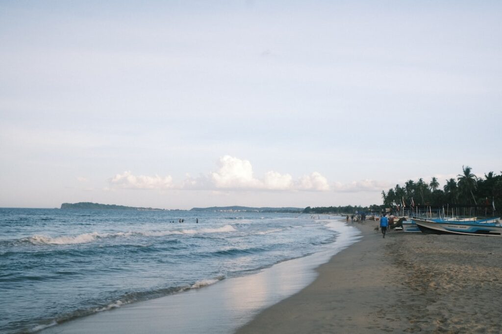 Sri Lanka Travel Guide 2024: Complete Trip Planning Tips