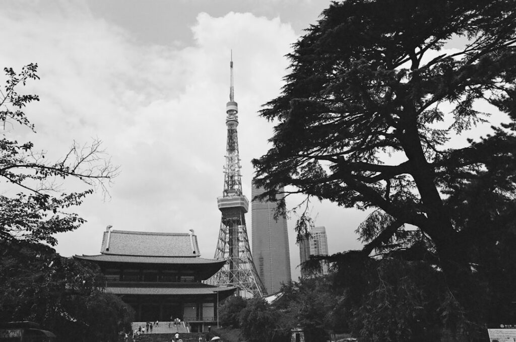 Tokyo Travel Guide 2024: Complete Trip Planner for Indians travel guide