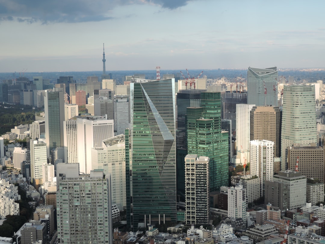 Tokyo Travel Guide 2024: Tips for Indian Tourists travel guide for Indians