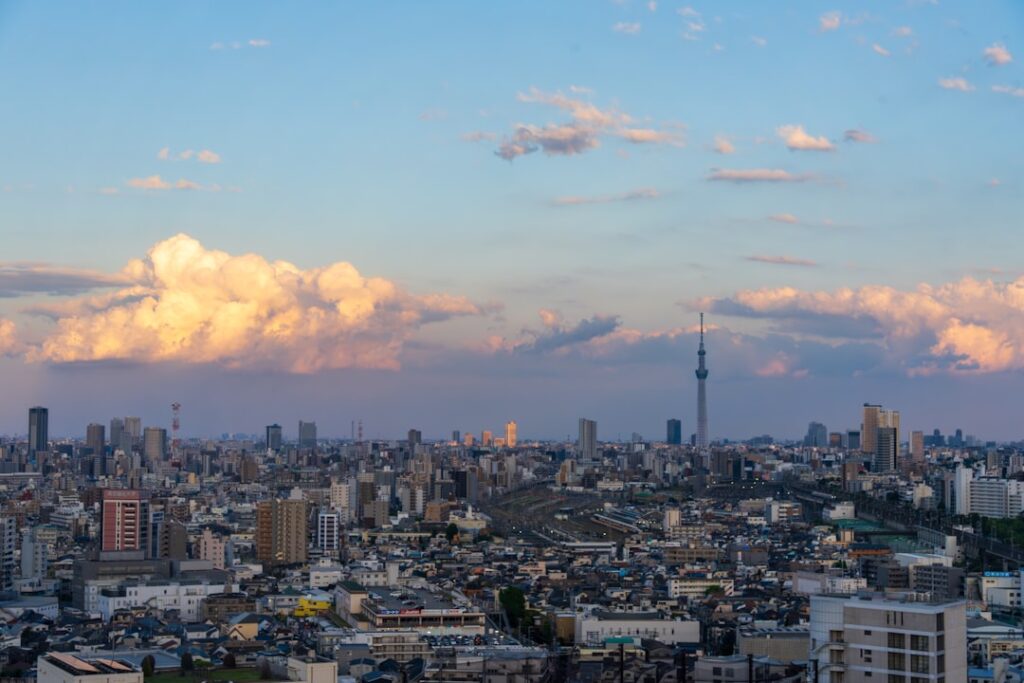 Tokyo Travel Guide 2024: Tips for Indian Tourists travel guide