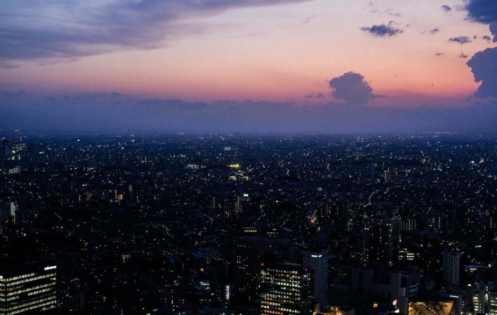 Tokyo Travel Guide 2024: Visa, Cost & Tips for Indians travel guide