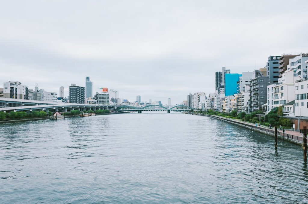 Tokyo Travel Guide 2024: Visa, Costs & Things to Do travel guide