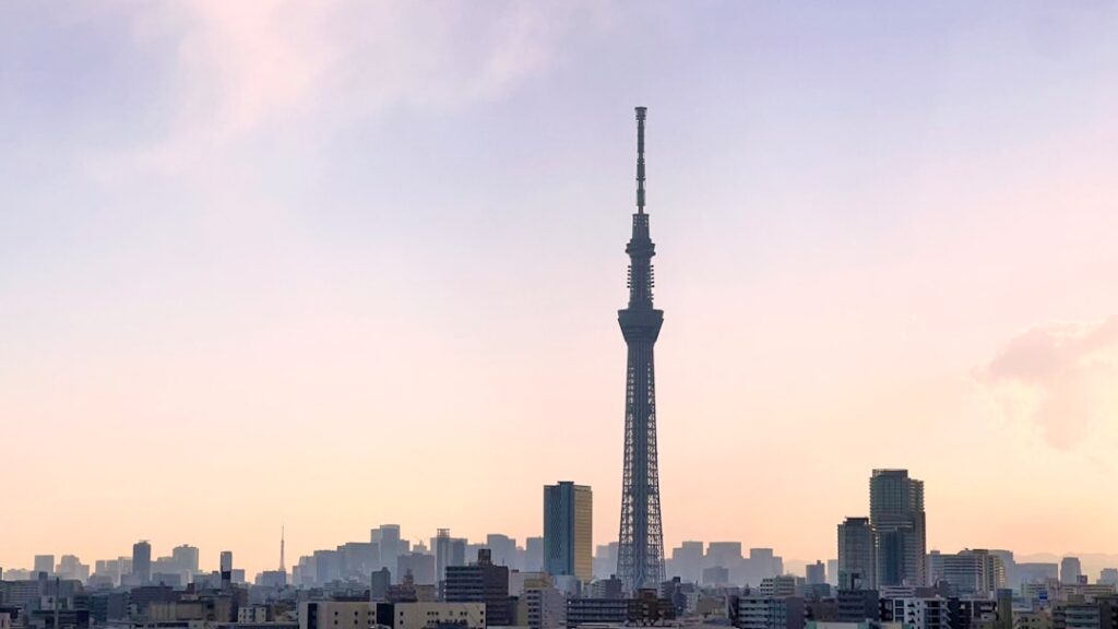 Tokyo Travel Guide 2024: Visa, Costs & Tips for Indians travel guide
